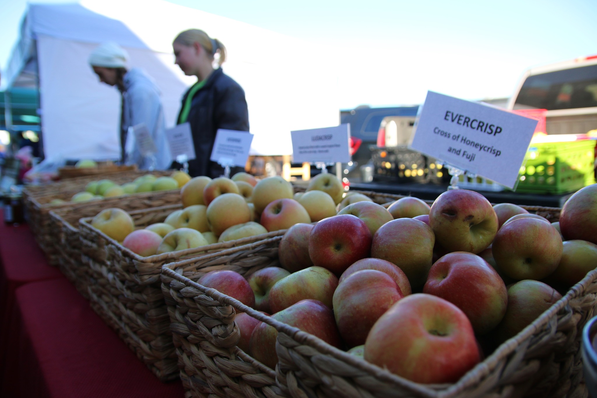 O'Fallon Harvest Festival